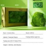Perpetual moss wall making soft furnishing decoration
