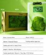 Perpetual moss wall making soft furnishing decoration