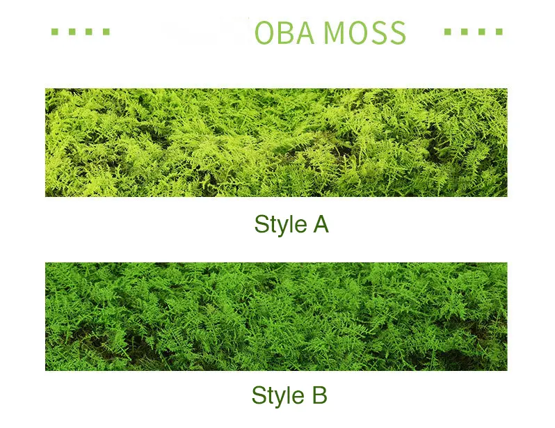 Perpetual moss wall making soft furnishing decoration