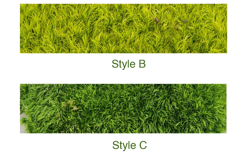 Perpetual moss wall making soft furnishing decoration