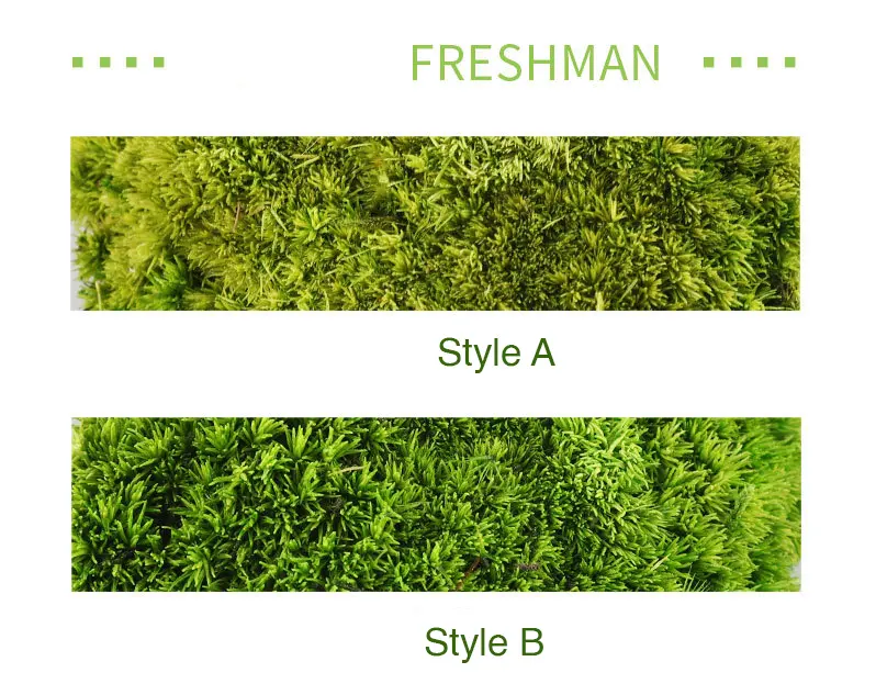 Perpetual moss wall making soft furnishing decoration