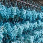 Boxed wood hydrangea eternal flowers 100g