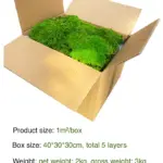 Perpetual moss wall making soft furnishing decoration