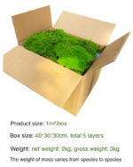 Perpetual moss wall making soft furnishing decoration