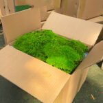 Perpetual moss wall making soft furnishing decoration - Image 6