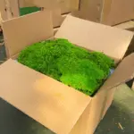 Perpetual moss wall making soft furnishing decoration - Image 6