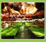 Perpetual moss wall making soft furnishing decoration - Image 7