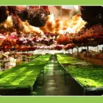 Perpetual moss wall making soft furnishing decoration - Image 7