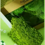 Perpetual moss wall making soft furnishing decoration