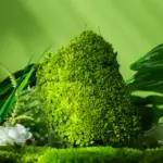 Perpetual moss wall making soft furnishing decoration