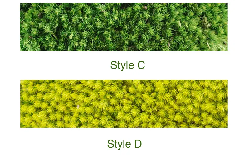 Perpetual moss wall making soft furnishing decoration