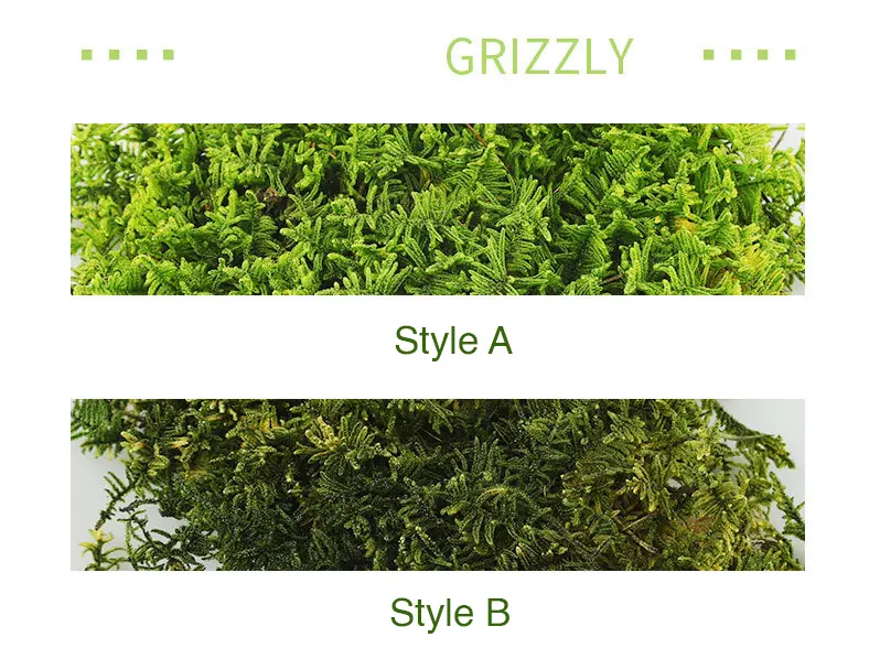 Perpetual moss wall making soft furnishing decoration