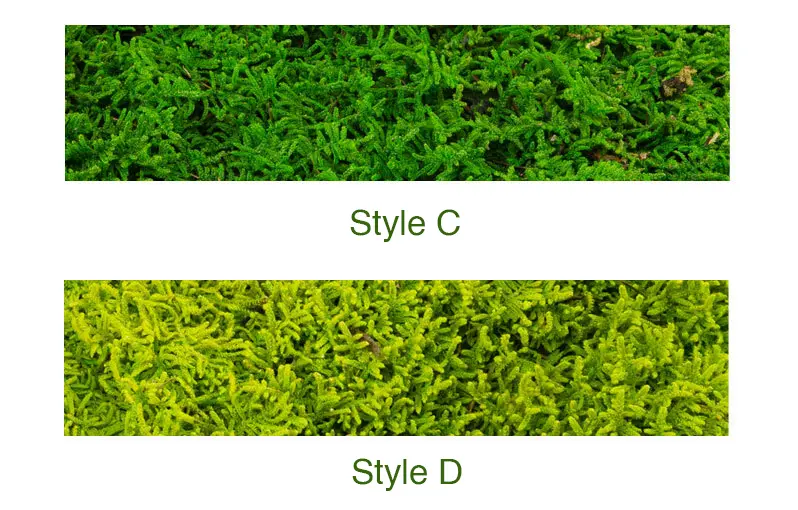 Perpetual moss wall making soft furnishing decoration