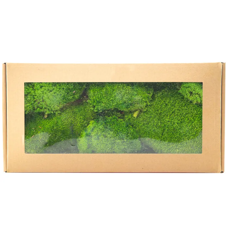 Perpetual moss wall making soft furnishing decoration