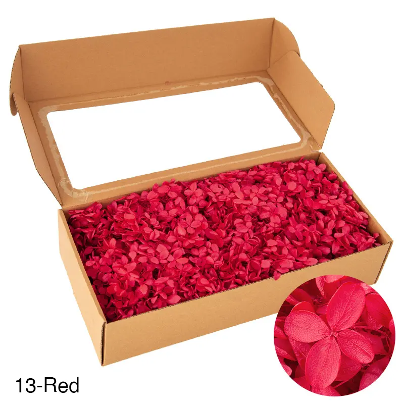 Boxed wood hydrangea eternal flowers 100g