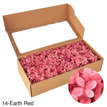 Boxed wood hydrangea eternal flowers 100g