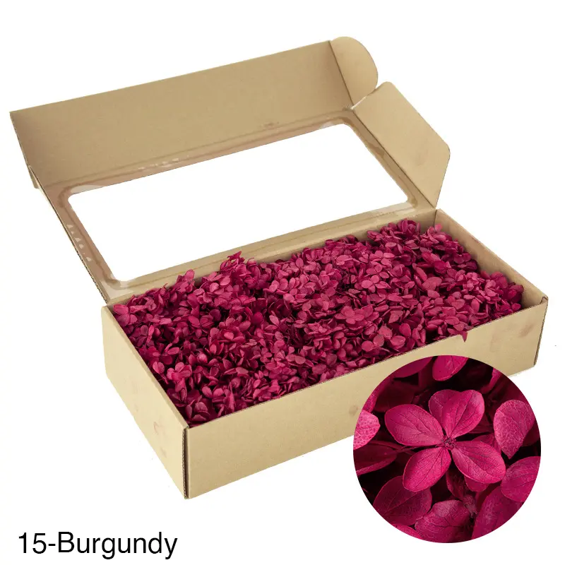 Boxed wood hydrangea eternal flowers 100g