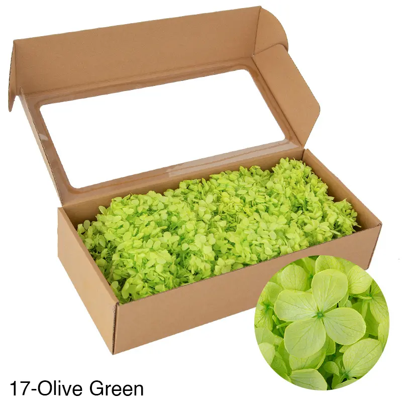 Boxed wood hydrangea eternal flowers 100g