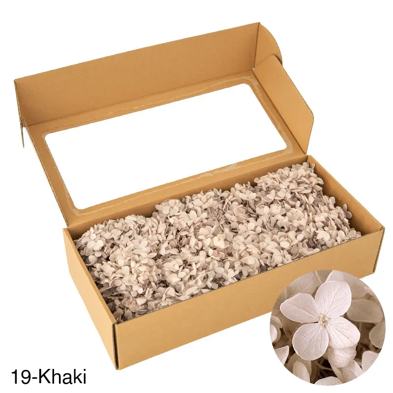 Boxed wood hydrangea eternal flowers 100g