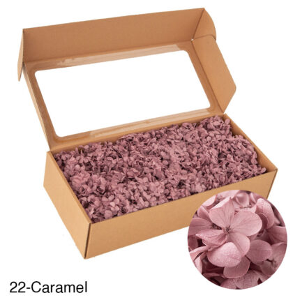 Boxed wood hydrangea eternal flowers 100g