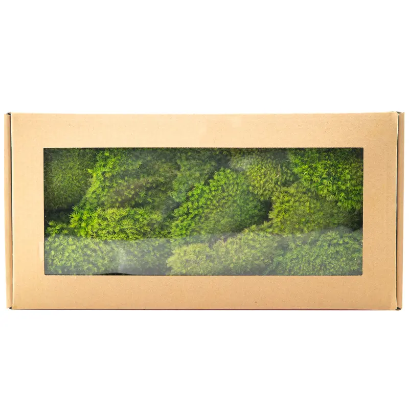 Perpetual moss wall making soft furnishing decoration