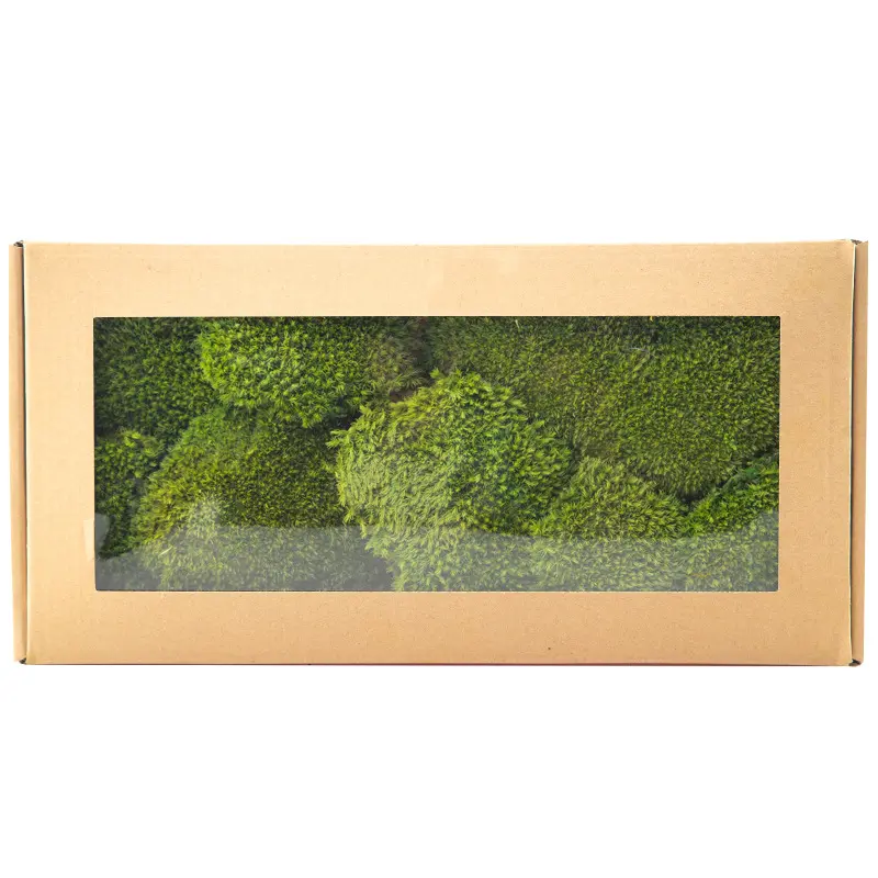 Perpetual moss wall making soft furnishing decoration