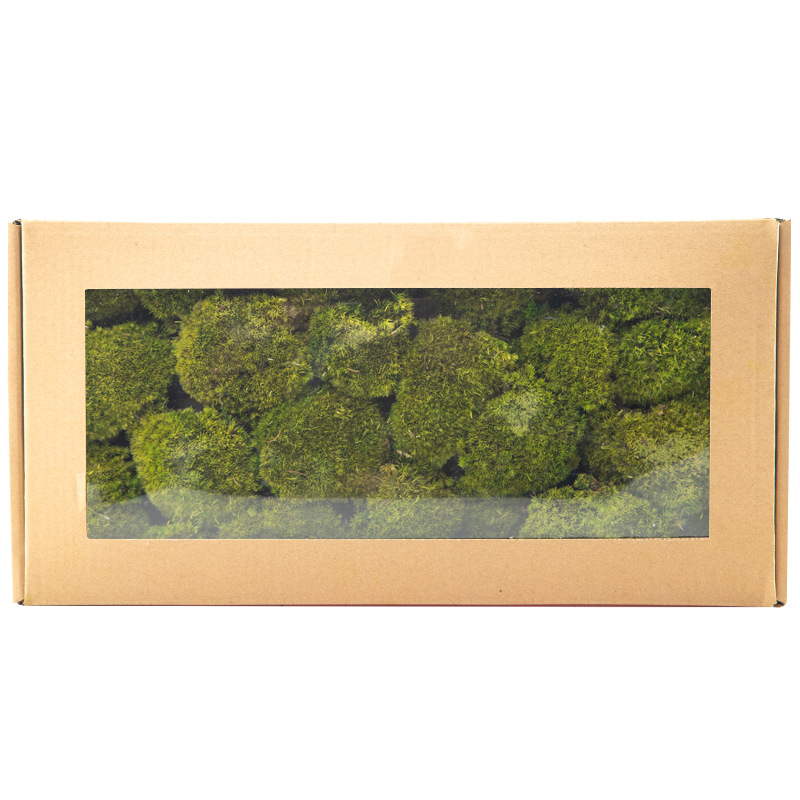 Perpetual moss wall making soft furnishing decoration