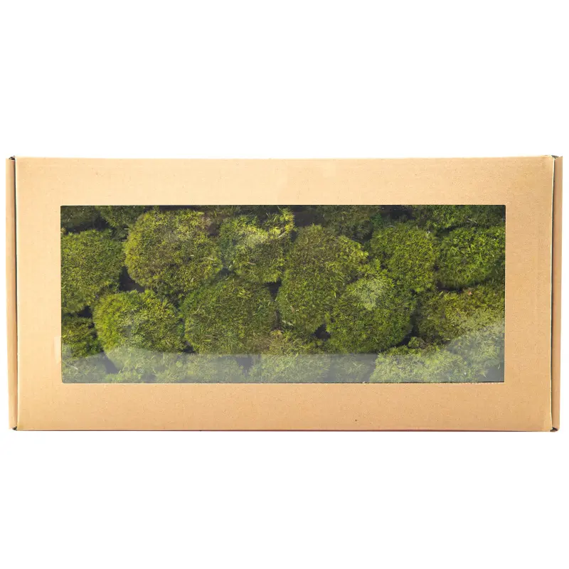 Perpetual moss wall making soft furnishing decoration