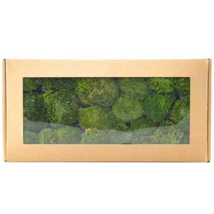 Perpetual moss wall making soft furnishing decoration
