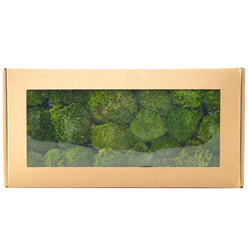 Perpetual moss wall making soft furnishing decoration