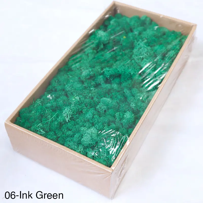 Grade A 500g Boxed Immortal Moss Home Decoration Green Preserved Flowers DIY Flower Materials