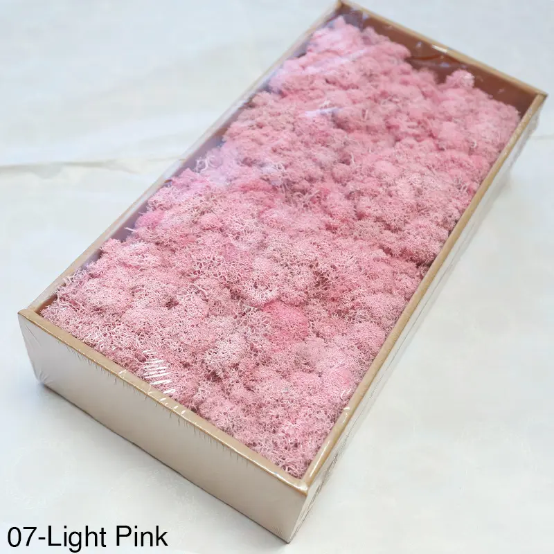 Grade A 500g Boxed Immortal Moss Home Decoration Green Preserved Flowers DIY Flower Materials