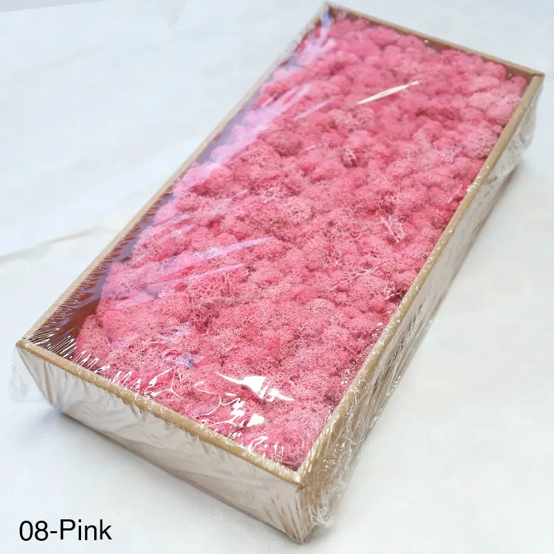 Grade A 500g Boxed Immortal Moss Home Decoration Green Preserved Flowers DIY Flower Materials