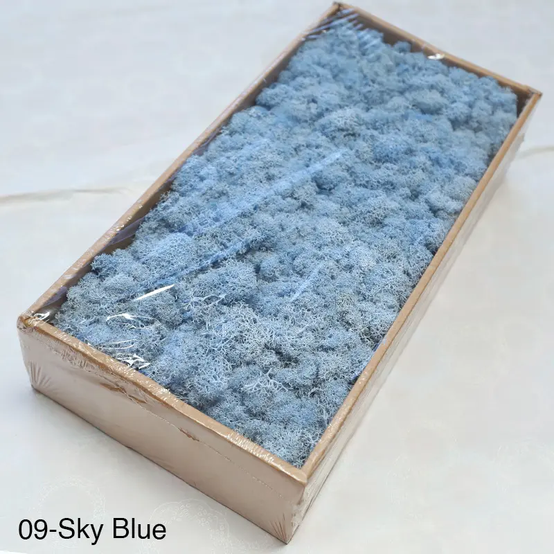 Grade A 500g Boxed Immortal Moss Home Decoration Green Preserved Flowers DIY Flower Materials