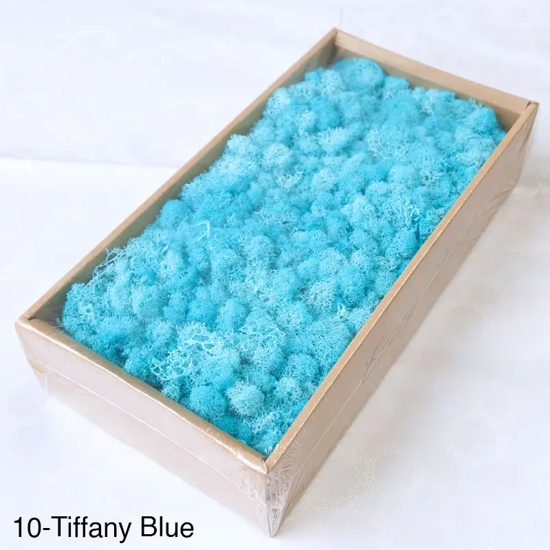 Grade A 500g Boxed Immortal Moss Home Decoration Green Preserved Flowers DIY Flower Materials