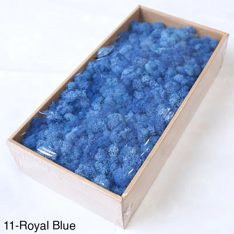 Grade A 500g Boxed Immortal Moss Home Decoration Green Preserved Flowers DIY Flower Materials