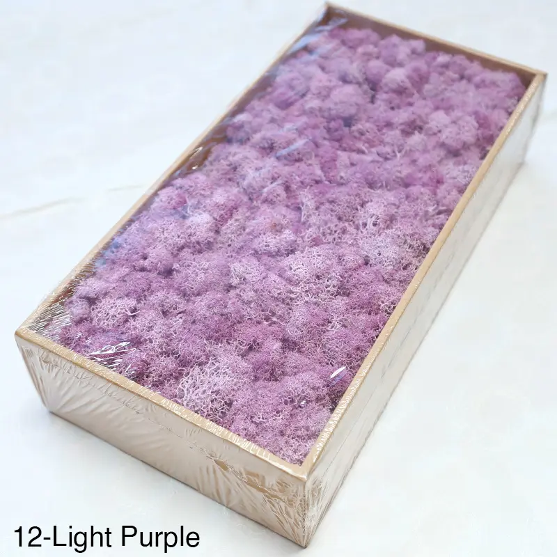 Grade A 500g Boxed Immortal Moss Home Decoration Green Preserved Flowers DIY Flower Materials