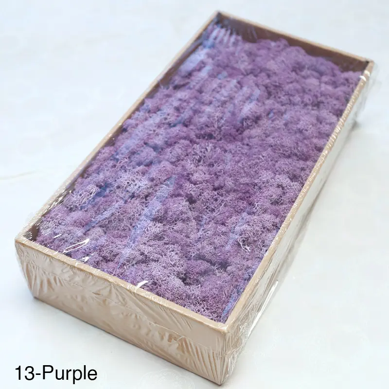 Grade A 500g Boxed Immortal Moss Home Decoration Green Preserved Flowers DIY Flower Materials