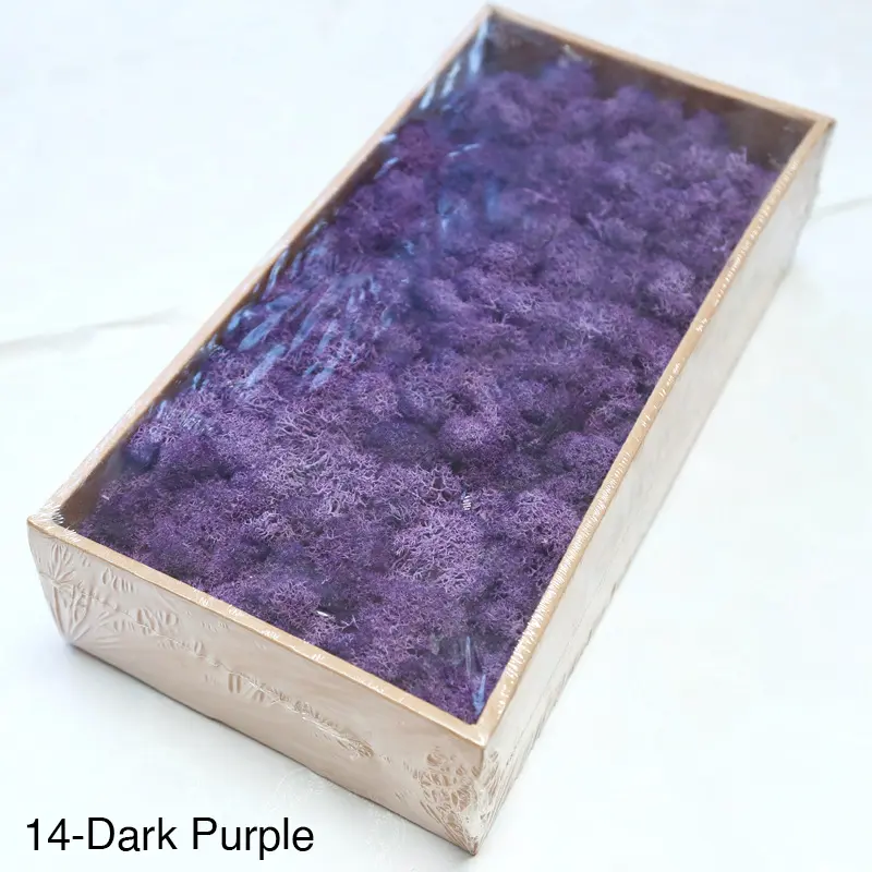 Grade A 500g Boxed Immortal Moss Home Decoration Green Preserved Flowers DIY Flower Materials