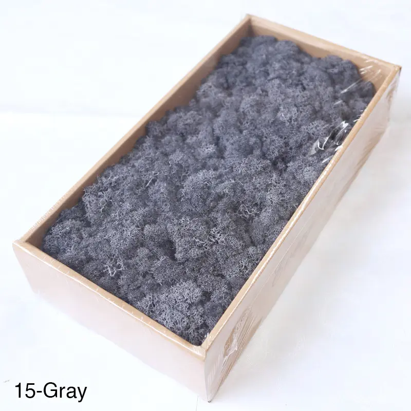 Grade A 500g Boxed Immortal Moss Home Decoration Green Preserved Flowers DIY Flower Materials