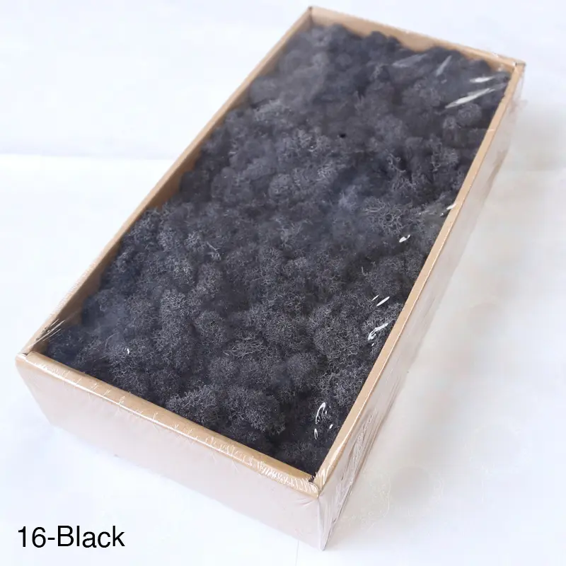 Grade A 500g Boxed Immortal Moss Home Decoration Green Preserved Flowers DIY Flower Materials