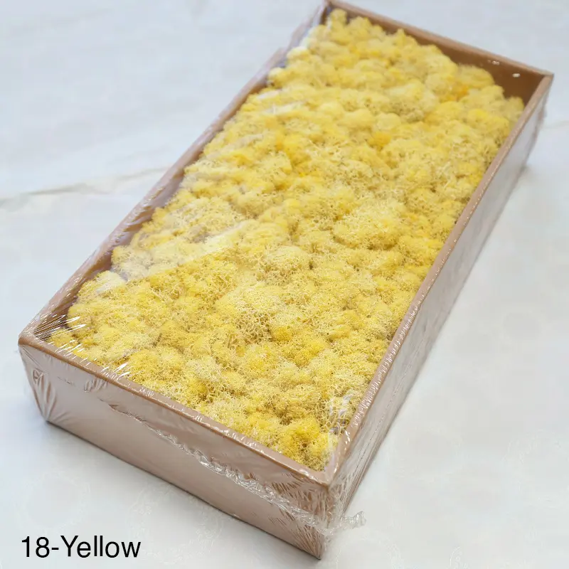 Grade A 500g Boxed Immortal Moss Home Decoration Green Preserved Flowers DIY Flower Materials