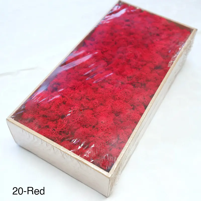 Grade A 500g Boxed Immortal Moss Home Decoration Green Preserved Flowers DIY Flower Materials