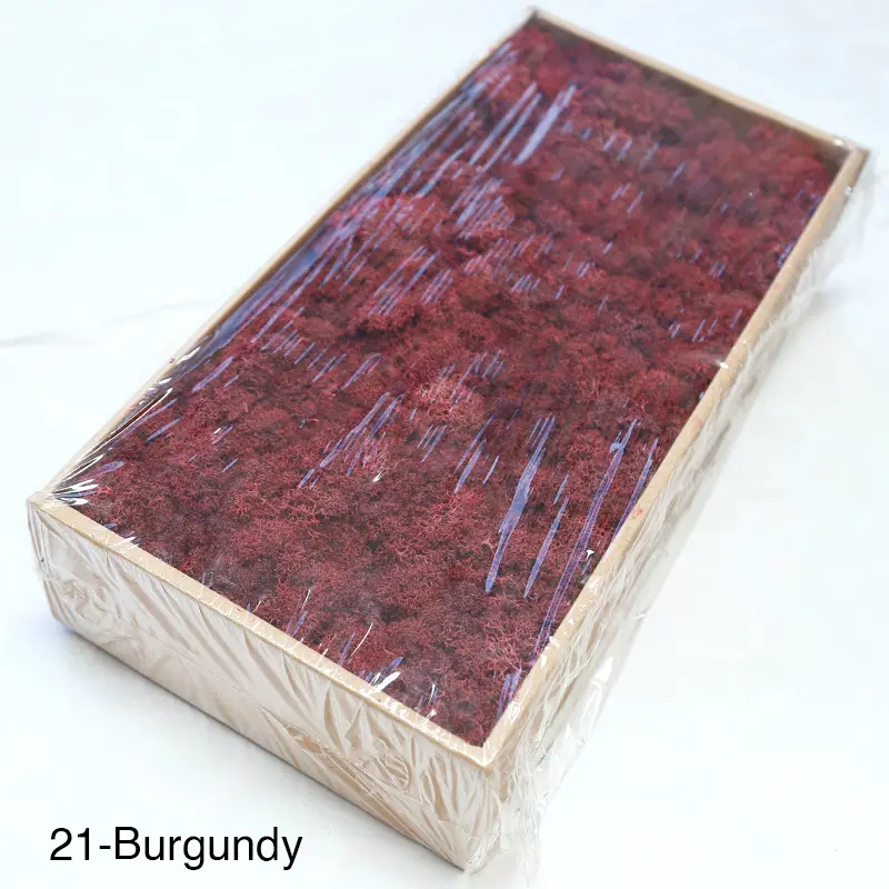 Grade A 500g Boxed Immortal Moss Home Decoration Green Preserved Flowers DIY Flower Materials