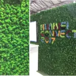 Grade A 500g Boxed Immortal Moss Home Decoration Green Preserved Flowers DIY Flower Materials - Image 9