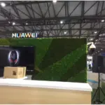 Grade A 500g Boxed Immortal Moss Home Decoration Green Preserved Flowers DIY Flower Materials - Image 8