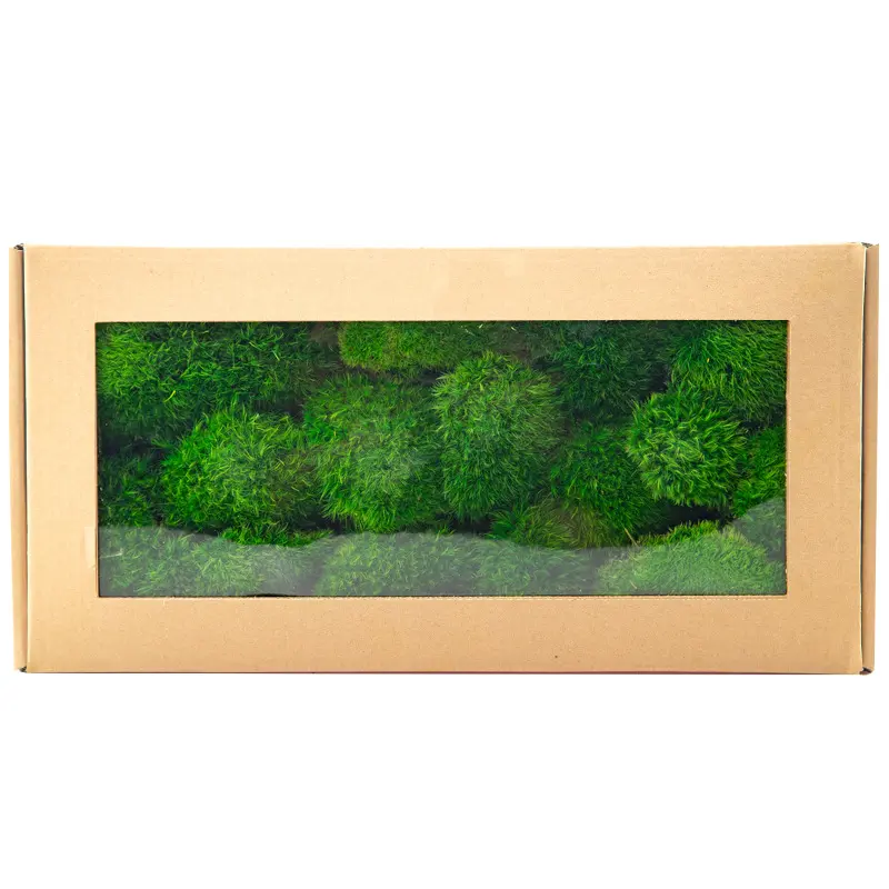 Perpetual moss wall making soft furnishing decoration