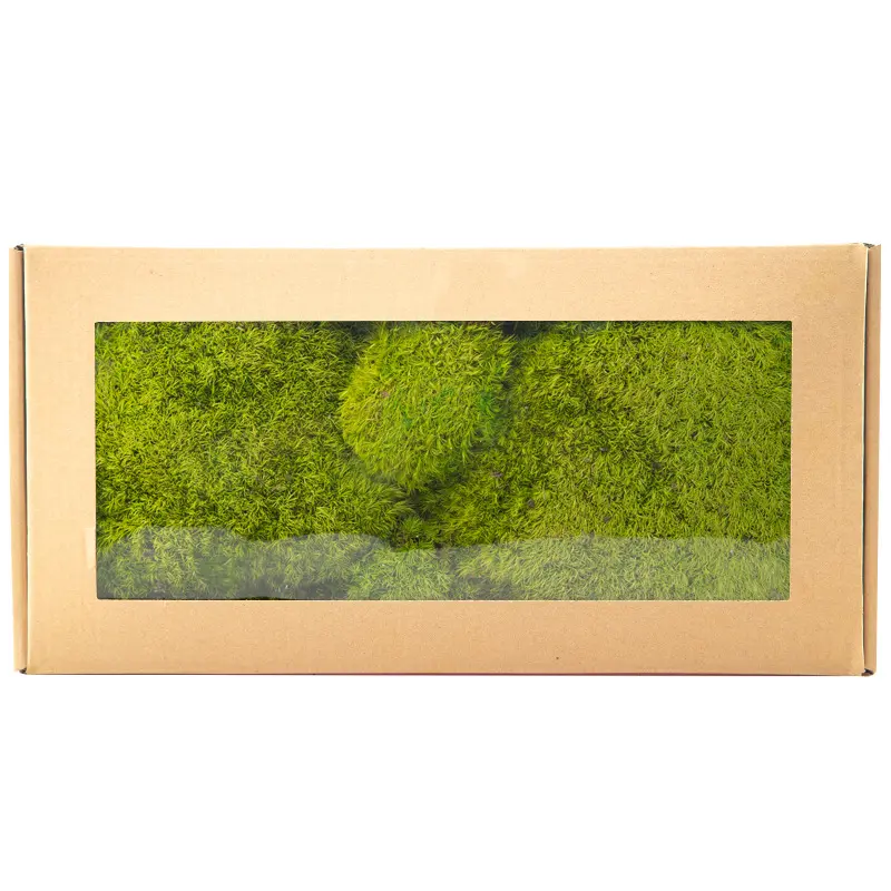 Perpetual moss wall making soft furnishing decoration