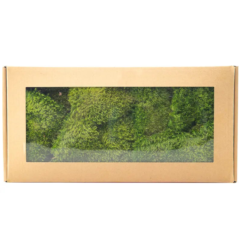 Perpetual moss wall making soft furnishing decoration