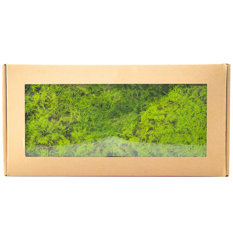 Perpetual moss wall making soft furnishing decoration
